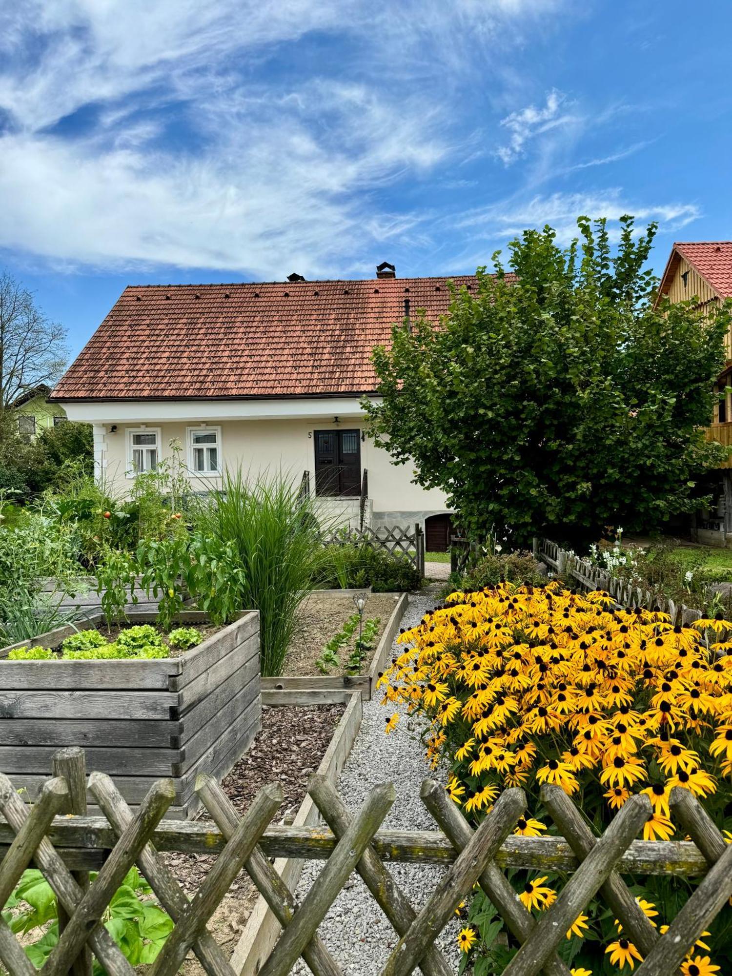 Homestead At Stefka'S Mokronog Luaran gambar